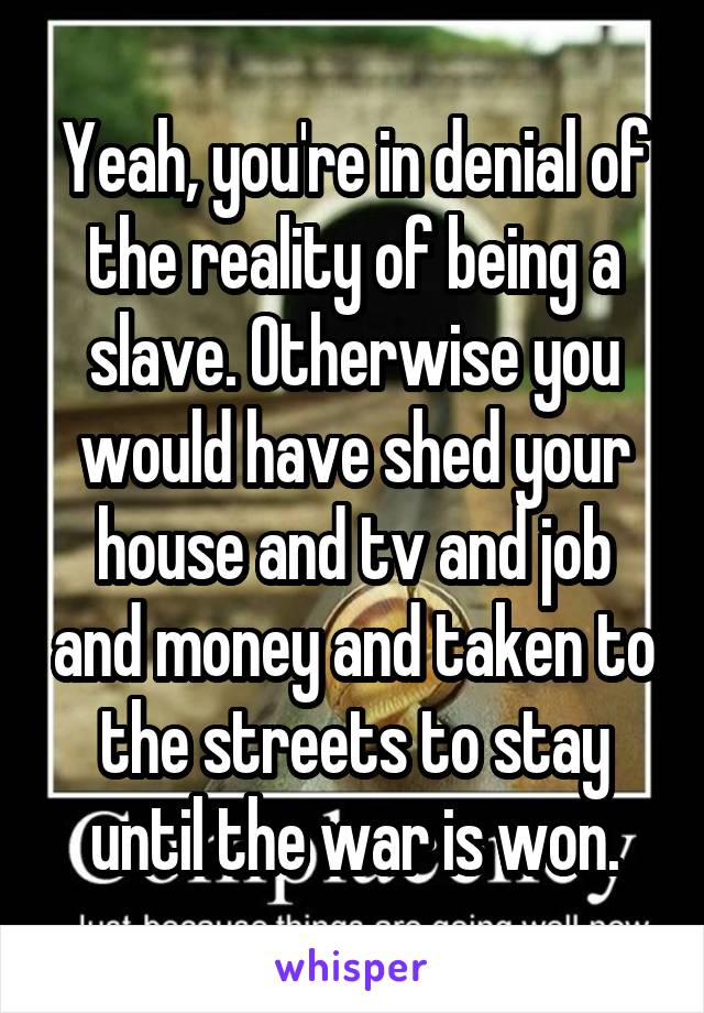 Yeah, you're in denial of the reality of being a slave. Otherwise you would have shed your house and tv and job and money and taken to the streets to stay until the war is won.