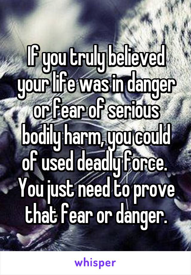 If you truly believed your life was in danger or fear of serious bodily harm, you could of used deadly force.  You just need to prove that fear or danger.
