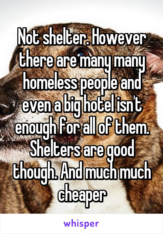 Not shelter. However there are many many homeless people and even a big hotel isn't enough for all of them. Shelters are good though. And much much cheaper