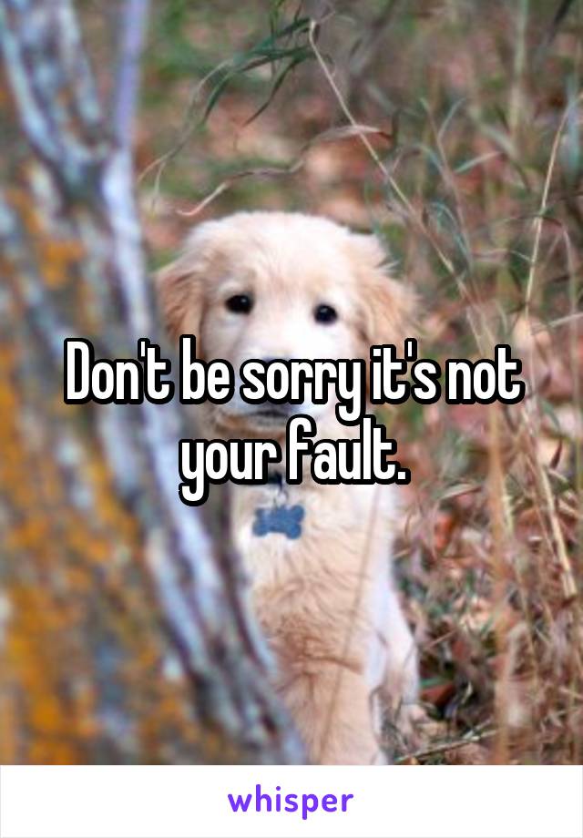 Don't be sorry it's not your fault.