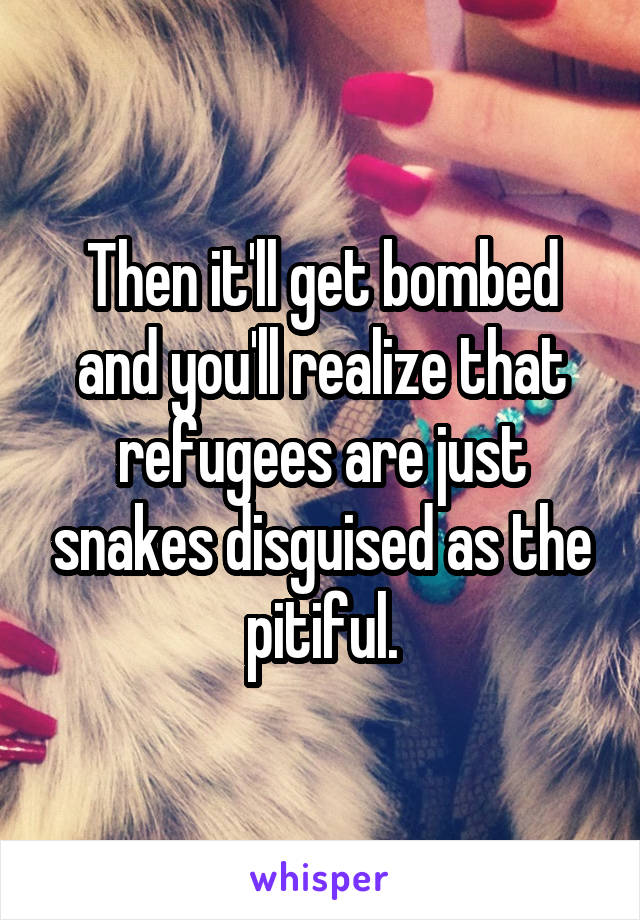 Then it'll get bombed and you'll realize that refugees are just snakes disguised as the pitiful.