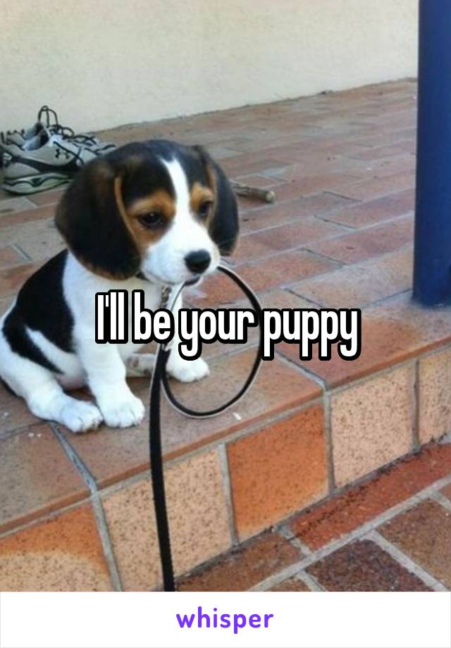 I'll be your puppy