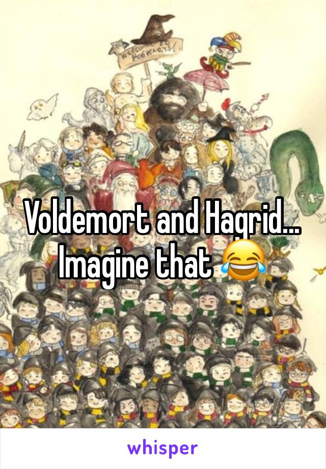 Voldemort and Hagrid... Imagine that 😂