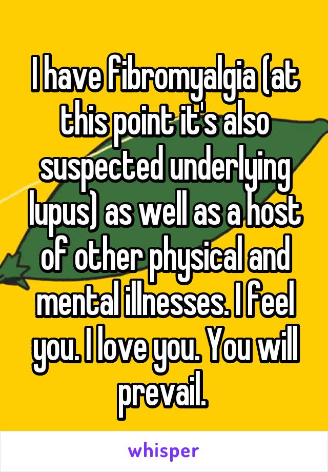 I have fibromyalgia (at this point it's also suspected underlying lupus) as well as a host of other physical and mental illnesses. I feel you. I love you. You will prevail. 
