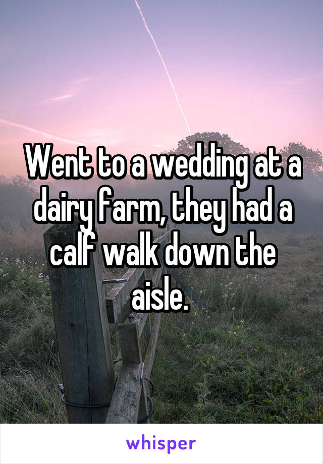 Went to a wedding at a dairy farm, they had a calf walk down the aisle. 