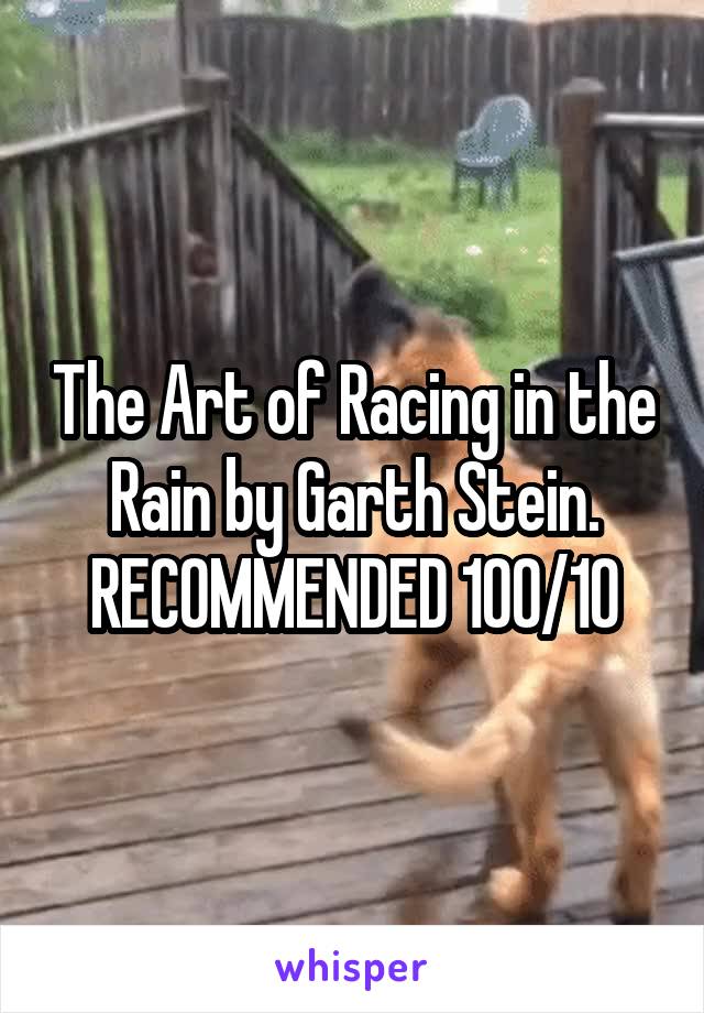 The Art of Racing in the Rain by Garth Stein. RECOMMENDED 100/10