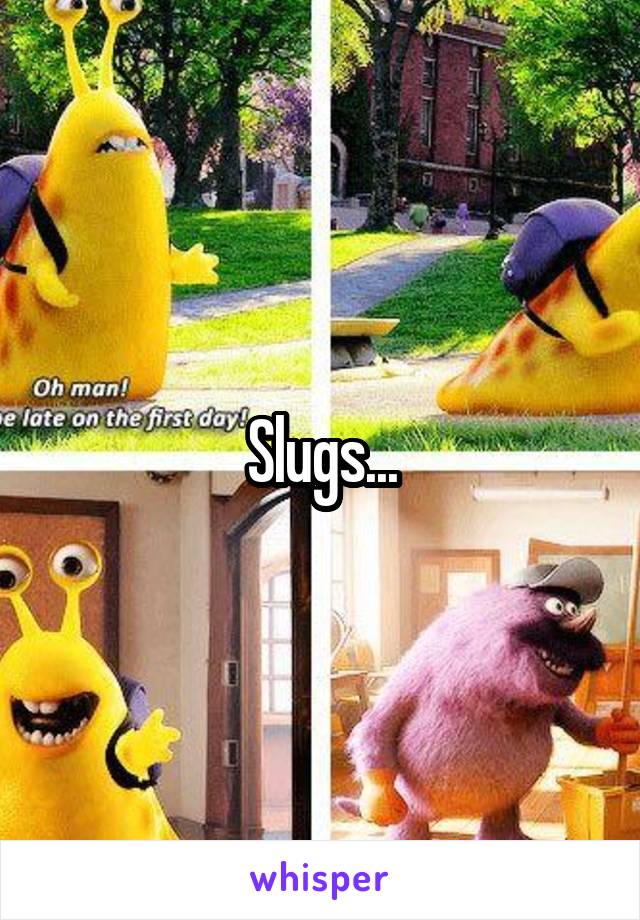 Slugs...