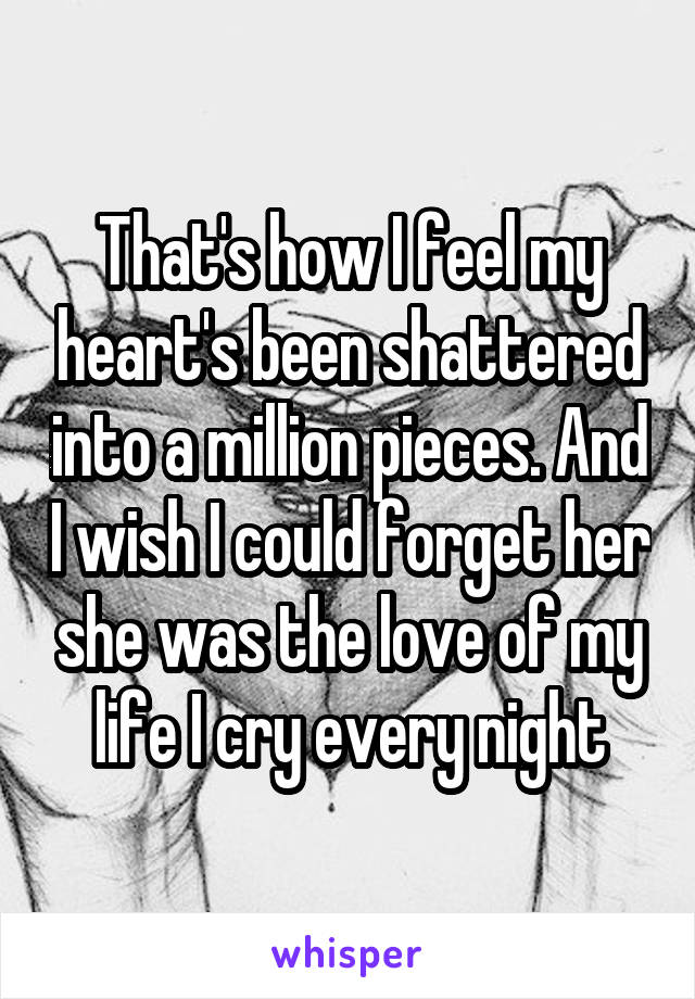That's how I feel my heart's been shattered into a million pieces. And I wish I could forget her she was the love of my life I cry every night