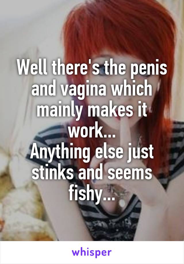 Well there's the penis and vagina which mainly makes it work...
Anything else just stinks and seems fishy...