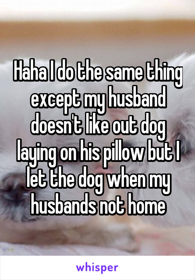 Haha I do the same thing except my husband doesn't like out dog laying on his pillow but I let the dog when my husbands not home