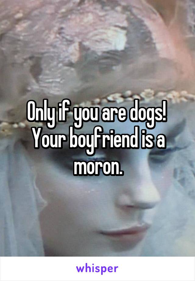 Only if you are dogs!  Your boyfriend is a moron.