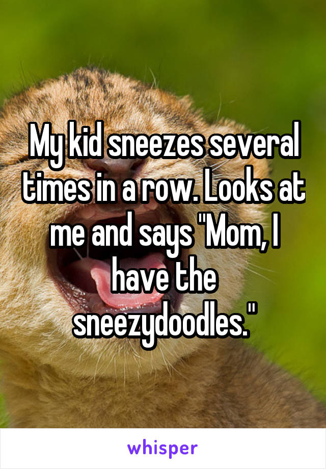 My kid sneezes several times in a row. Looks at me and says "Mom, I have the sneezydoodles."