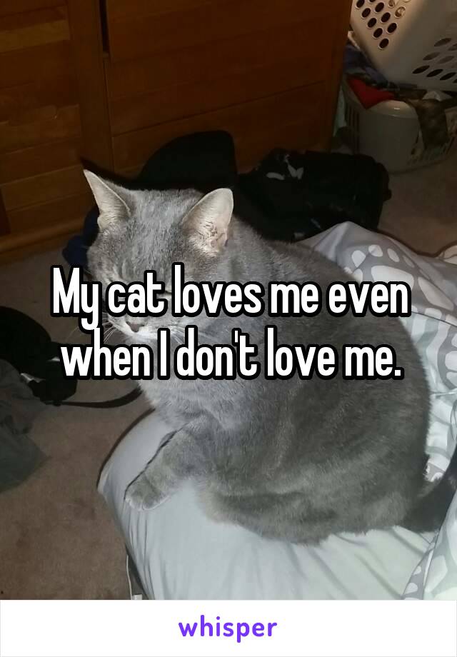 My cat loves me even when I don't love me.