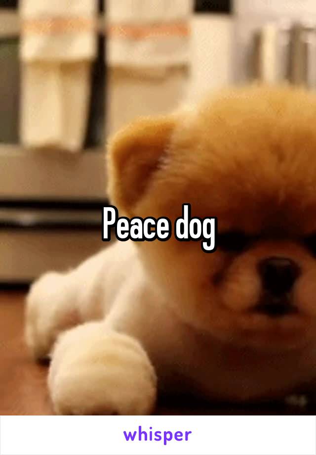 Peace dog