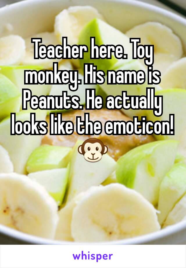 Teacher here. Toy monkey. His name is Peanuts. He actually looks like the emoticon! 🐵