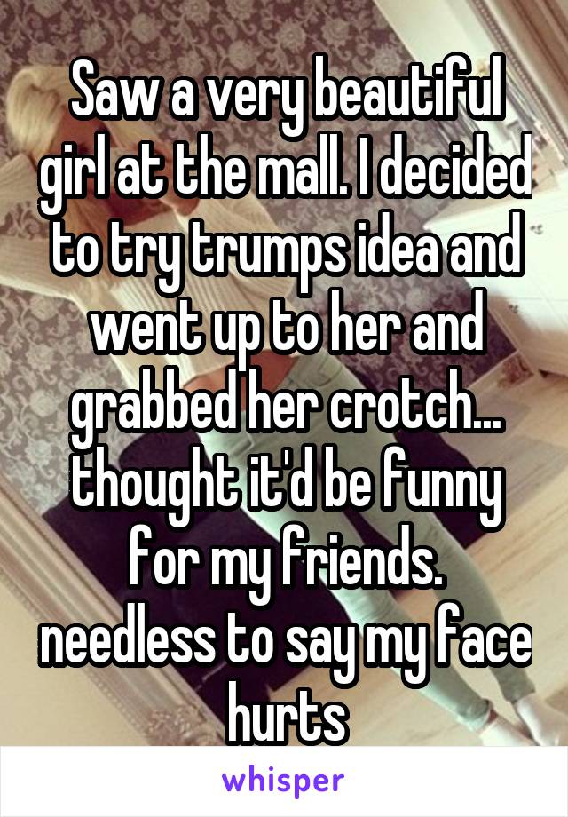 Saw a very beautiful girl at the mall. I decided to try trumps idea and went up to her and grabbed her crotch... thought it'd be funny for my friends. needless to say my face hurts