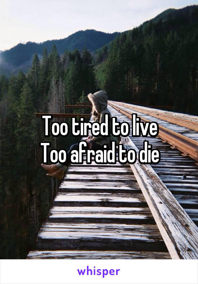Too tired to live
Too afraid to die