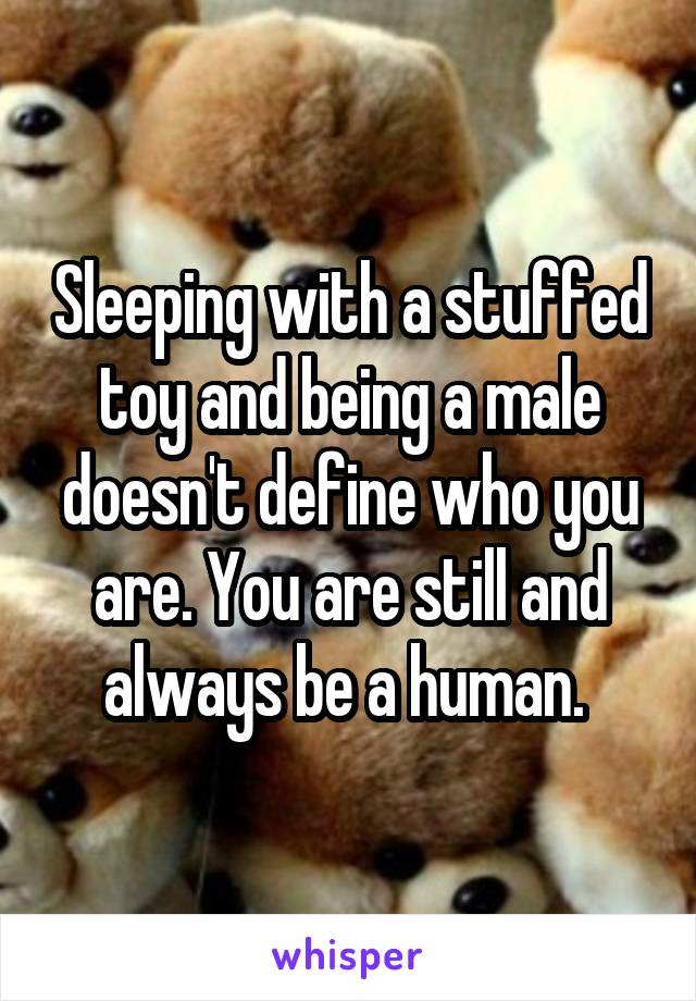 Sleeping with a stuffed toy and being a male doesn't define who you are. You are still and always be a human. 
