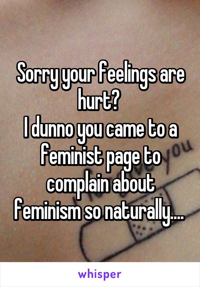 Sorry your feelings are hurt? 
I dunno you came to a feminist page to complain about feminism so naturally.... 