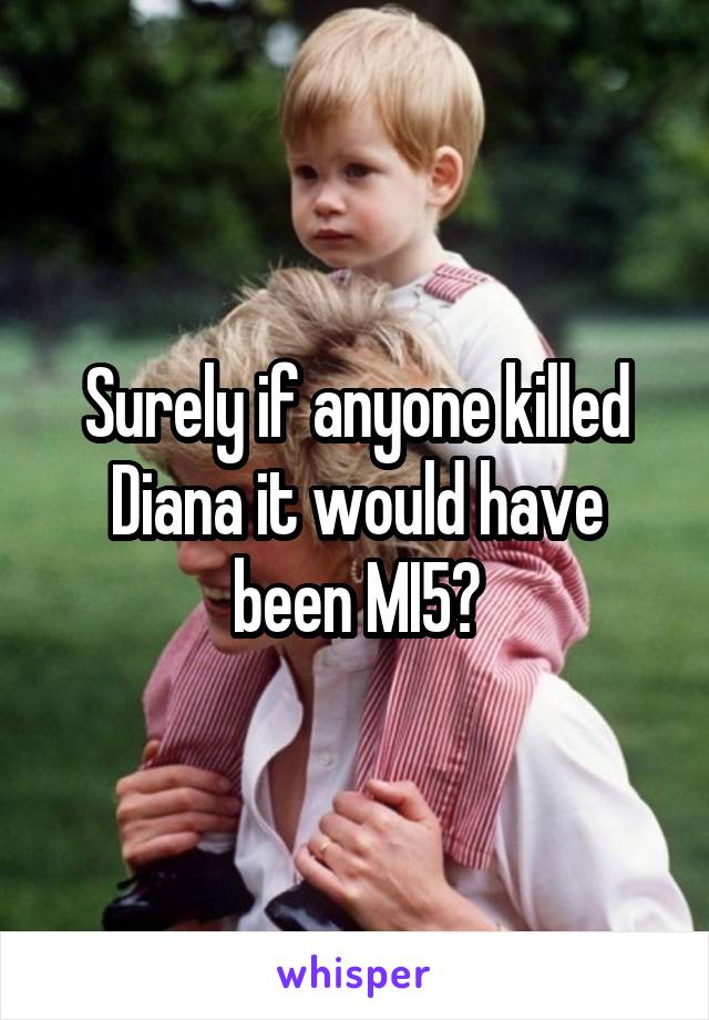 Surely if anyone killed Diana it would have been MI5?