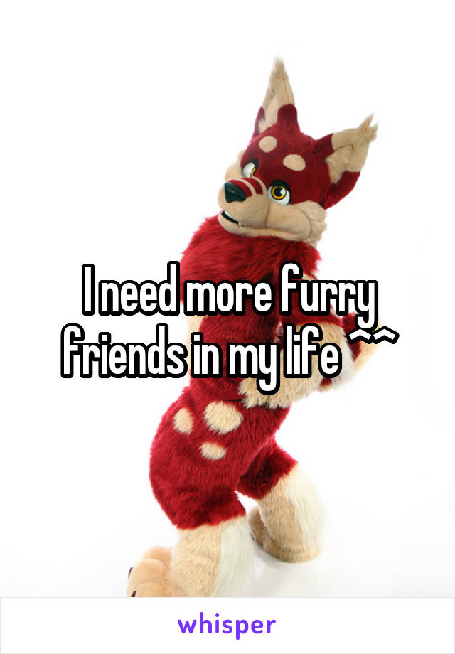 I need more furry friends in my life ^^