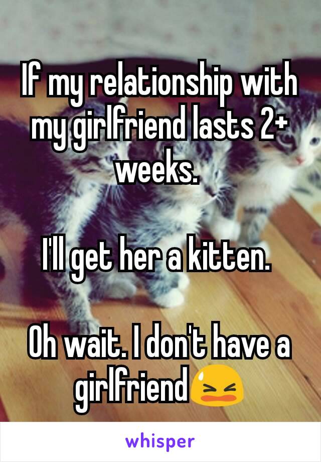 If my relationship with my girlfriend lasts 2+ weeks. 

I'll get her a kitten. 

Oh wait. I don't have a girlfriend😫