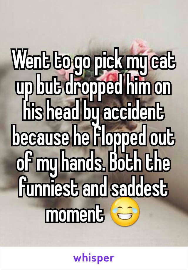 Went to go pick my cat up but dropped him on his head by accident because he flopped out of my hands. Both the funniest and saddest moment 😂