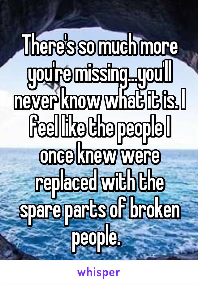 There's so much more you're missing...you'll never know what it is. I feel like the people I once knew were replaced with the spare parts of broken people.  