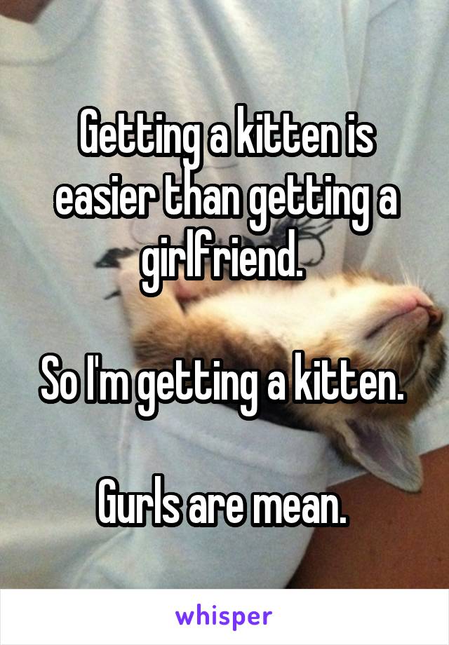 Getting a kitten is easier than getting a girlfriend. 

So I'm getting a kitten. 

Gurls are mean. 