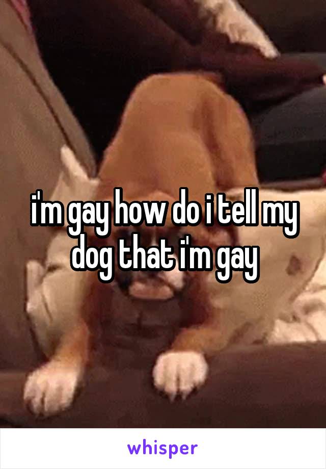 i'm gay how do i tell my dog that i'm gay