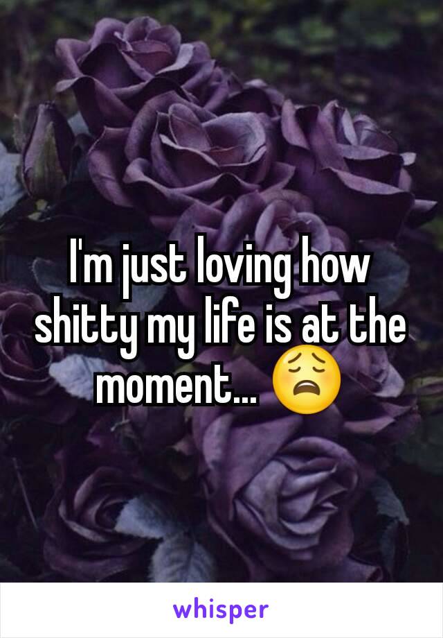 I'm just loving how shitty my life is at the moment... 😩