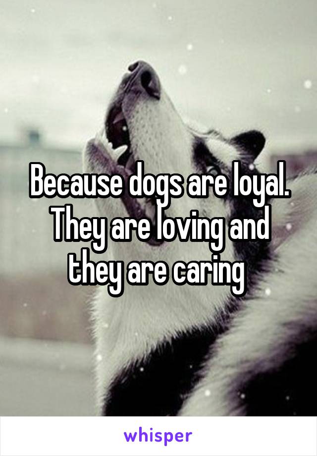 Because dogs are loyal. They are loving and they are caring 