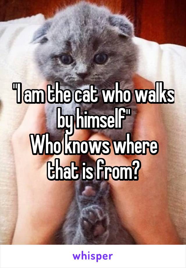 "I am the cat who walks by himself"
Who knows where that is from?
