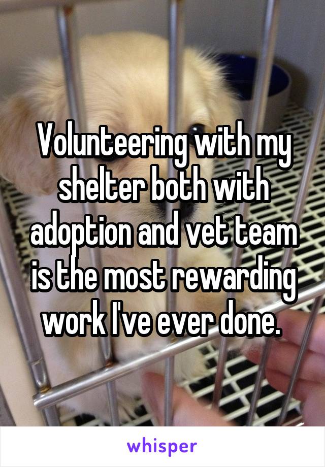 Volunteering with my shelter both with adoption and vet team is the most rewarding work I've ever done. 
