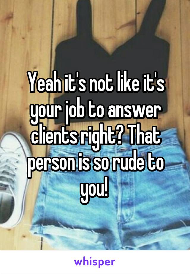Yeah it's not like it's your job to answer clients right? That person is so rude to you! 