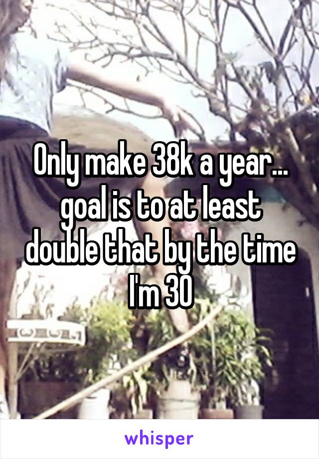 Only make 38k a year... goal is to at least double that by the time I'm 30