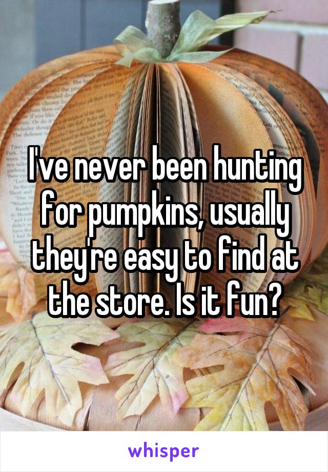 I've never been hunting for pumpkins, usually they're easy to find at the store. Is it fun?