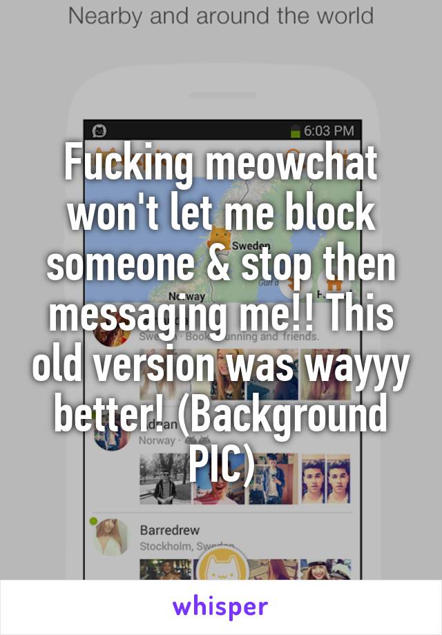 Fucking meowchat won't let me block someone & stop then messaging me!! This old version was wayyy better! (Background PIC)