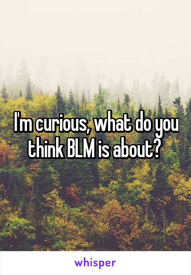 I'm curious, what do you think BLM is about? 