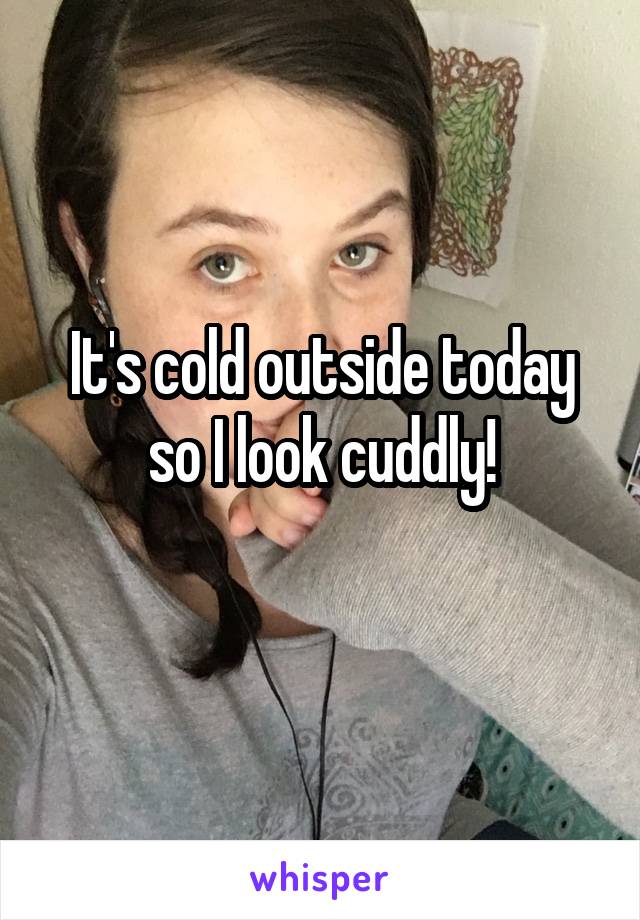 It's cold outside today so I look cuddly!
