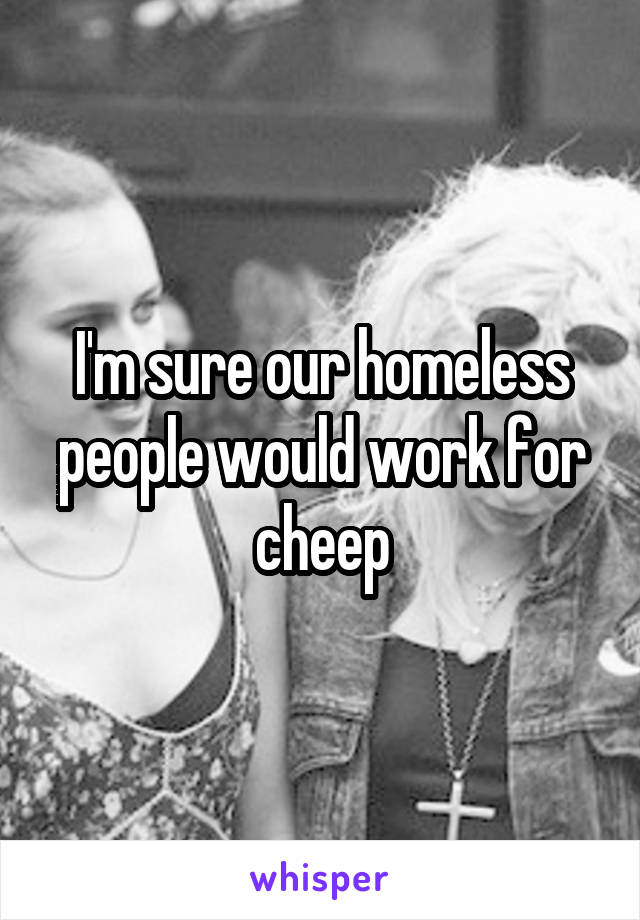 I'm sure our homeless people would work for cheep