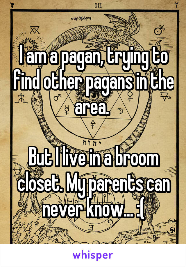 I am a pagan, trying to find other pagans in the area. 

But I live in a broom closet. My parents can never know... :(