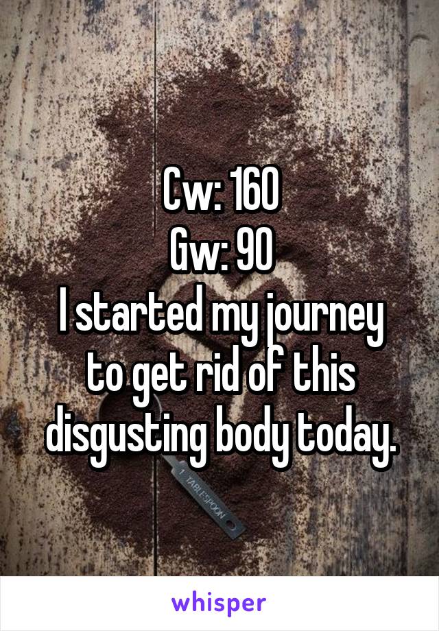 Cw: 160
Gw: 90
I started my journey to get rid of this disgusting body today.