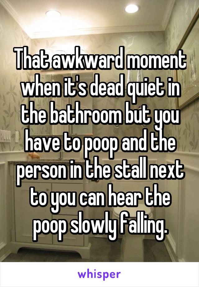 That awkward moment when it's dead quiet in the bathroom but you have to poop and the person in the stall next to you can hear the poop slowly falling.