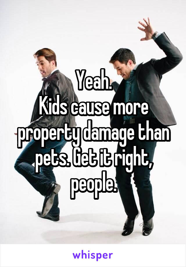 Yeah.
Kids cause more property damage than pets. Get it right, people.