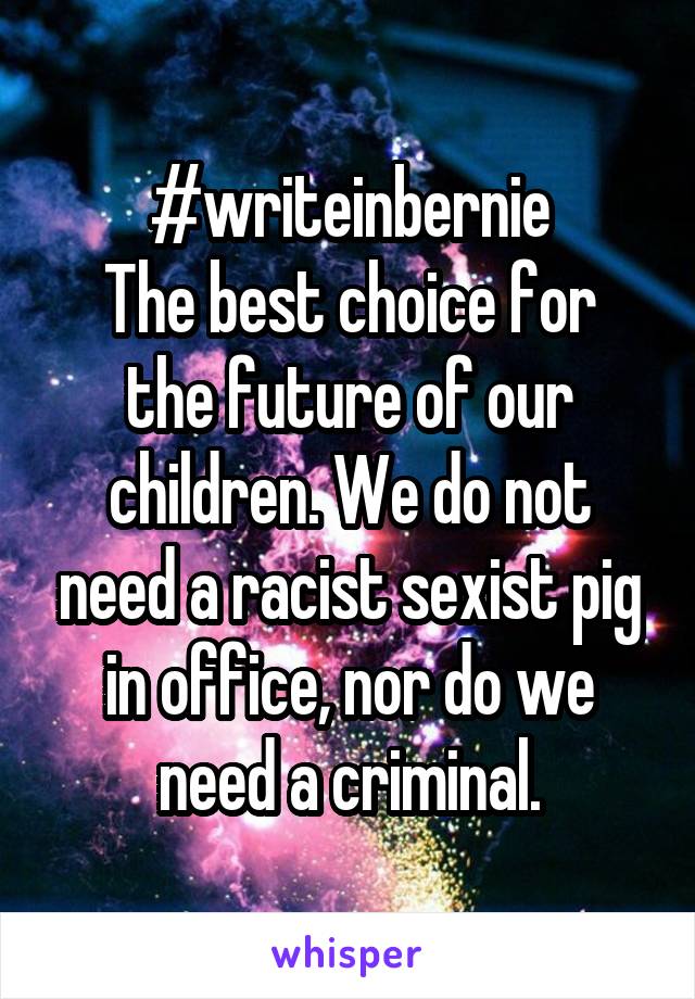 #writeinbernie
The best choice for the future of our children. We do not need a racist sexist pig in office, nor do we need a criminal.