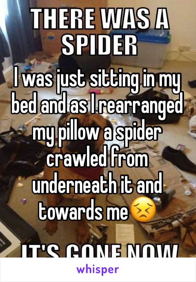 I was just sitting in my bed and as I rearranged my pillow a spider crawled from underneath it and towards me😣