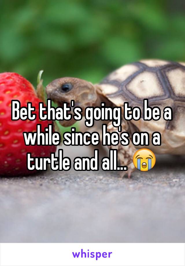 Bet that's going to be a while since he's on a turtle and all... 😭
