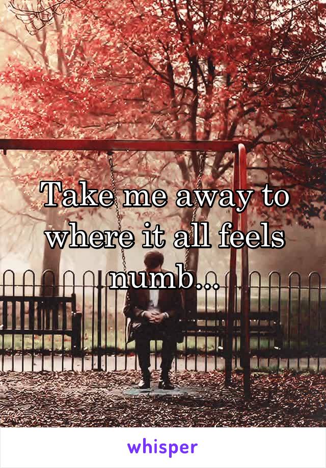 Take me away to where it all feels numb...