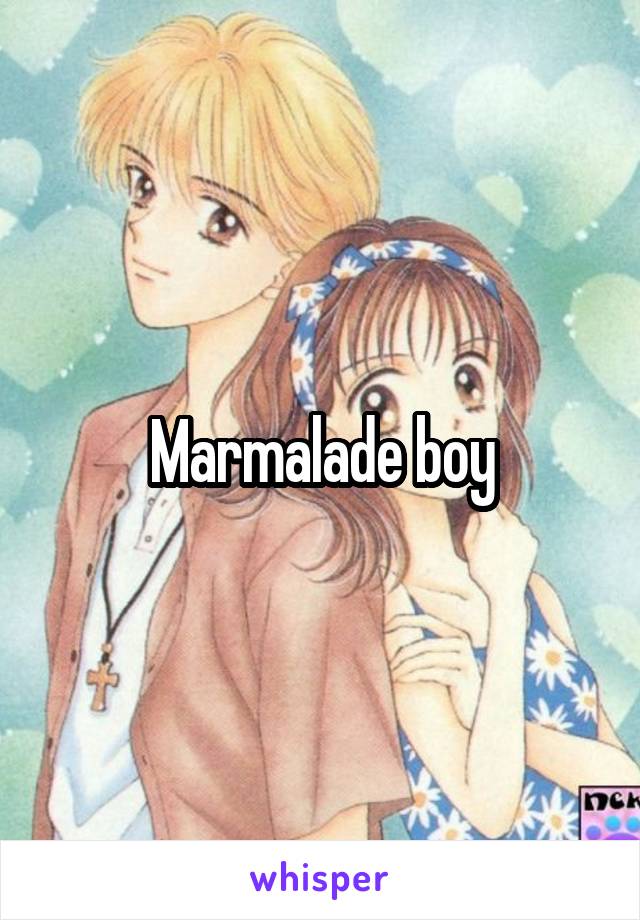 Marmalade boy